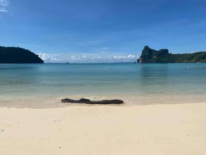 Dalum Beachhouse جزيرة في في المظهر الخارجي الصورة